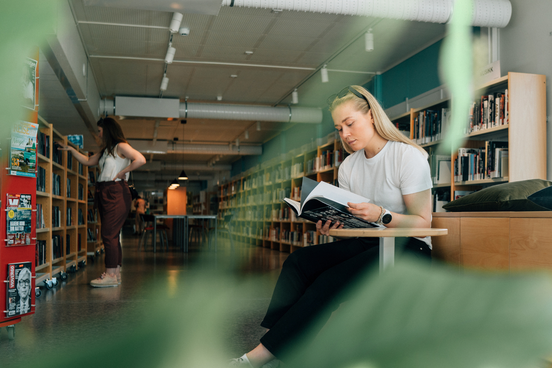 Bibliotek i Slemmestad centrum i norge, i moduler från Expandia