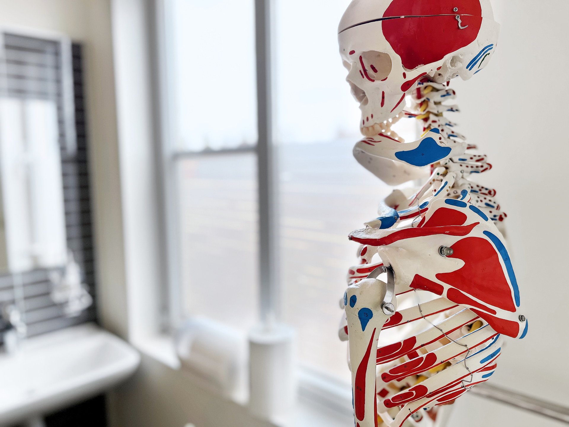 Anatomisk skelettmodell i behandlingsrum på Skillingaryds vårdcentral, inredd i moderna vårdmoduler från Expandia med ljusa ytor och funktionell vårdmiljö