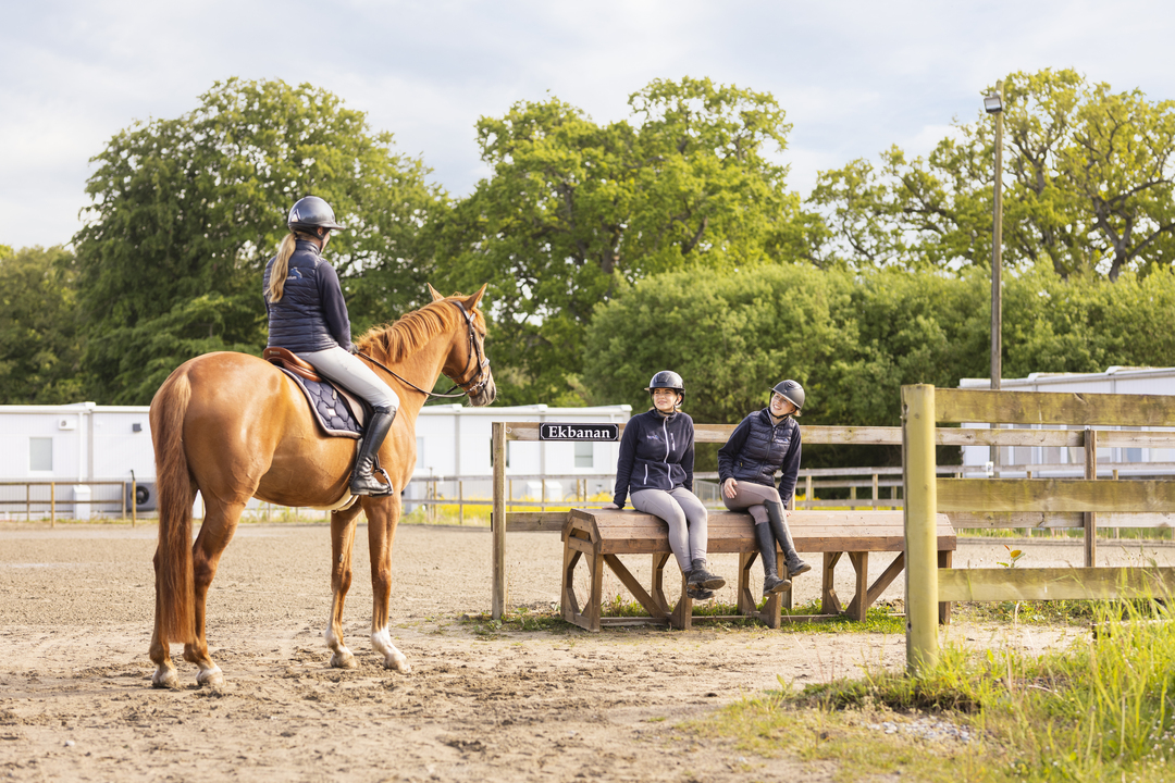 Elever vid Sveriges Ridgymnasium i Svedala vistas vid en ridbana, där en elev sitter till häst och två andra sitter på en bänk och samtalar. I bakgrunden syns boendemoduler som används som elevboenden och är placerade intill skolområdet.